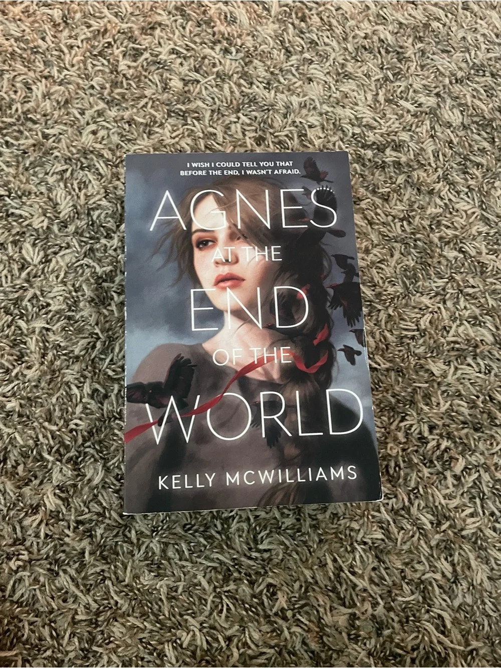 Agnes at the End of the World — Gray Cover by